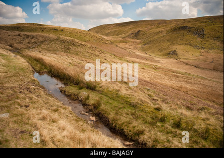 Teifi Pools Fuß entlang der Egnant Tal Upland, Ceredigion ländlichen West Wales eine Fläche als grüne Wüste kennen Stockfoto