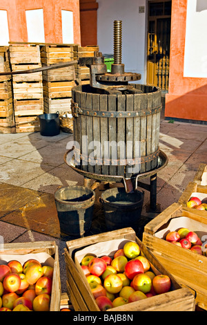 Apple drücken Sie auf den Märkten in Plaza De La Corredera, Córdoba, UNESCO-Weltkulturerbe, Provinz Córdoba, Andalusien. Stockfoto