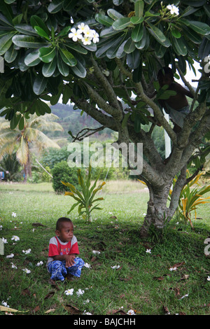 Kleiner Junge in Fidschi sitzen unter Frangipani-Baum Stockfoto