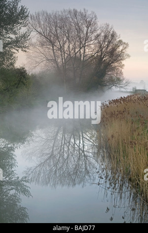 Ein schöner Blick auf den Fluss Stour in Suffolk mit einer Feder Nebel über dem Wasser im Morgengrauen und gesäumt von Schilf und Bäumen Stockfoto