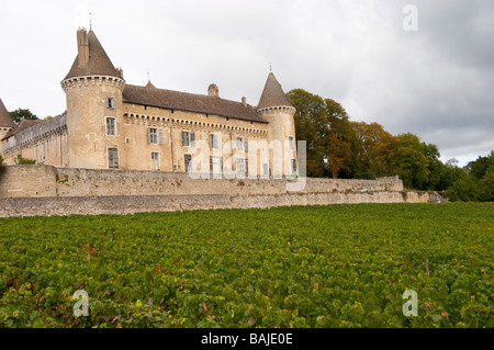 Chardonnay Weingut Chateau de Rully Burgund Frankreich Stockfoto