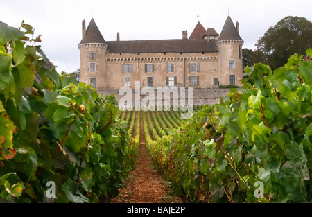 Chardonnay Weingut Chateau de Rully Burgund Frankreich Stockfoto