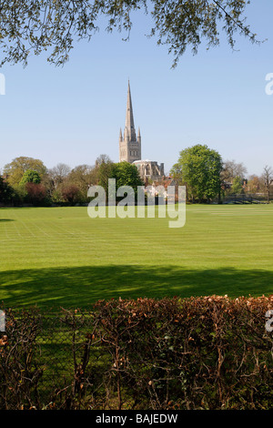 Kathedrale von Norwich, Norfolk, England Stockfoto