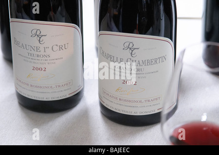 Beaune 1er Cru Teurons Chapelle Chambertin gc 2002 Dom Rossignol Trapet Gevrey-Chambertin Côte de Nuits Burgund Frankreich Stockfoto