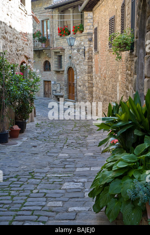 Die Pflanze ausgekleidet & angenehm ruhigen Gassen von Montefioralle, Chianti, Toskana, Italien Stockfoto