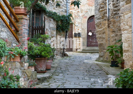 Die Pflanze ausgekleidet & angenehm ruhigen Gassen von Montefioralle, Chianti, Toskana, Italien Stockfoto