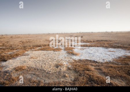 Ein Seegrund ausgetrocknet durch Klima Wandel induzierte Trockenheit in der Inneren Mongolei, China Stockfoto