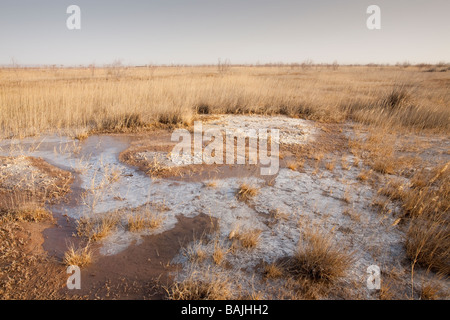 Ein Seegrund ausgetrocknet durch Klima Wandel induzierte Trockenheit in der Inneren Mongolei, China Stockfoto