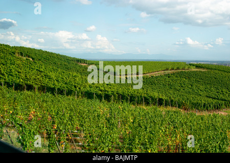 Weingut Marke gc Turckheim Elsass Frankreich Stockfoto