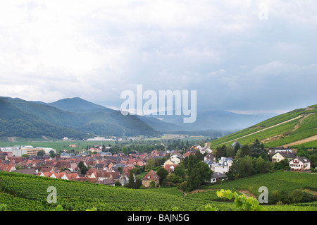 Weinberg-Blick über Dorf aus dem Marke gc Turckheim Elsass Frankreich Stockfoto