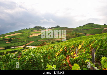 Weingut Marke gc Turckheim Elsass Frankreich Stockfoto