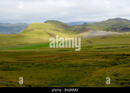 Island, Nord-Ost-Region, in der Nähe von Eldhraun Stockfoto