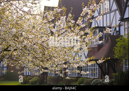 Hotel Ealing W5 London Vereinigtes Königreich Stockfoto