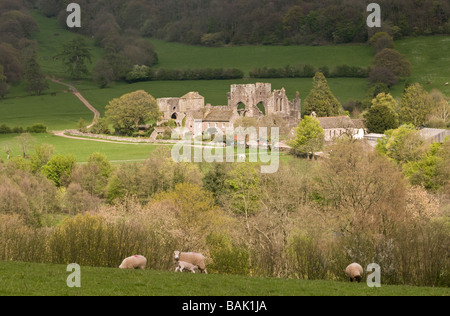 Llanthony Priory in den schwarzen Bergen-Süd-Wales Stockfoto