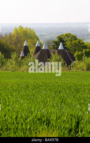 Boughton Monchelsea, Maidstone, Kent, UK. Oast Häuser und der Weald Stockfoto