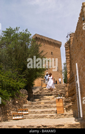 die Ruine Chateauneuf du Pape Rhone Frankreich Stockfoto