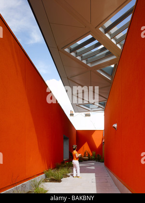 Maggie's Centre, London, Vereinigtes Königreich, Rogers Stirk Harbour + Partner, Maggie-Center Eingang. Stockfoto