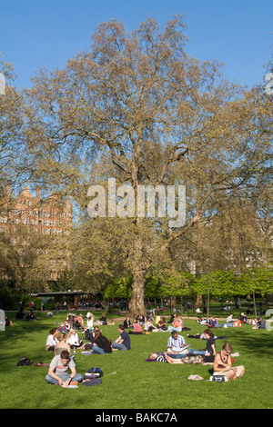 Frühling am Abend - Russell Square - Bloomsbury - London Stockfoto