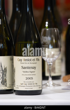 Santenay Vieilles Vignes Dom g Amiot & f Chassagne-Montrachet Côte de Beaune Burgund Frankreich Stockfoto