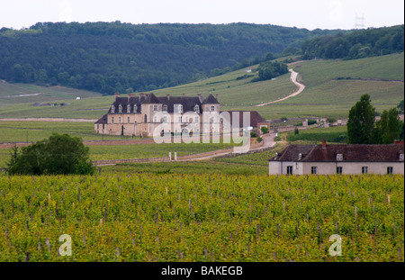Chateau du Clos de Vougeot und Weinberg Côte de Nuits Burgund Frankreich Stockfoto