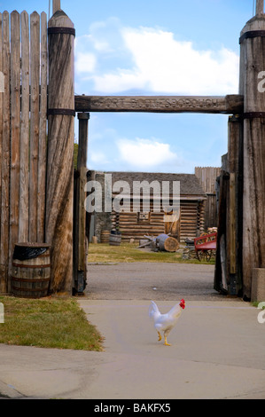 Huhn im Vordergrund des Tores an im Fort Boonesborough State Park in der Nähe von Richmond, Kentucky Stockfoto