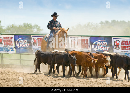 Cowboy Gerangel Kälber beim rodeo Stockfoto