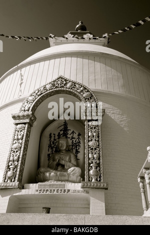 Goldene Buddha von der Pokhara Welt-Friedens-Pagode Stockfoto