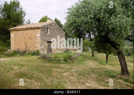 Spanien, Katalonien, Parque Natural Dels Ports, in der Nähe von Tortosa, Horta de Sant Joan, die Tafatans Maas lebte Picasso Stockfoto