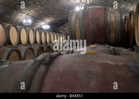 alte Fässer Dom Drouhin Laroze Gevrey-Chambertin Côte de Nuits Burgund Frankreich Stockfoto