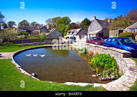 Ententeich im Wert Matravers Village, Dorset, Großbritannien 2009 Stockfoto