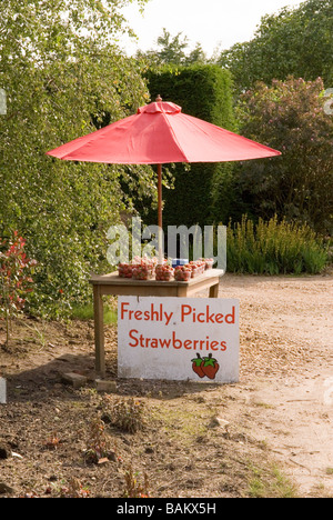 Straße Seite Erdbeer Stall, Norfolk Stockfoto