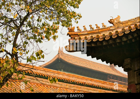 Dächer in der verbotenen Stadt Peking Stockfoto
