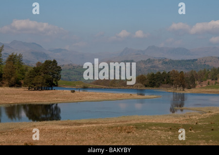 Wise Een Tarn auf Claife Heights mit Langdale Pikes in der Ferne, Lake District, Cumbria Stockfoto