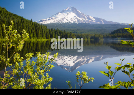 Mount Hood und Trillium lake Stockfoto