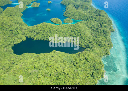 Luftbild Jellyfish Lake pazifischen Mikronesien Palau Stockfoto