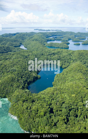 Luftbild Jellyfish Lake pazifischen Mikronesien Palau Stockfoto