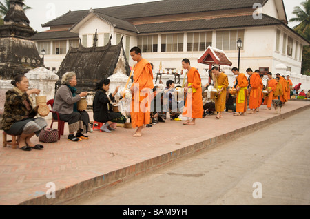 Mönchen Almosen am frühen Morgen in Luang Prabang Laos Stockfoto