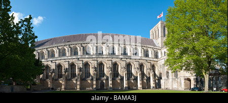 Winchester Cathedral Süd Aspekt mit fliegenden Steinstrehlen Stockfoto