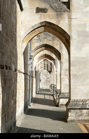 Winchester Cathedral fliegenden Steinstrehlen Stockfoto