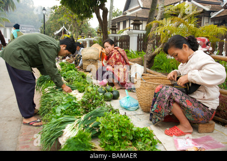 Mann-Shops für Frühlingszwiebeln auf dem täglichen Lebensmittelmarkt in Luang Prabang Laos Stockfoto