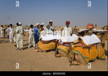 Kameltreiber Thar Wüste Rajasthan Indien Stockfoto