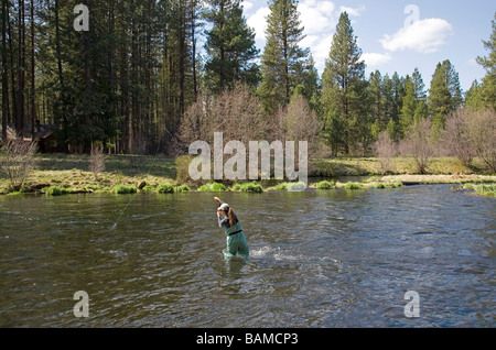 Ein Fliegenfischer Fischen für Forelle unterhalb der Gelb-Kiefer entlang des Flusses Metolius in den Cascade Mountains von Zentral-Oregon Stockfoto