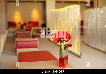 First Class Lounge von Air France (La Premiere) bei Charles de Gaulle Airport, Paris-FR Stockfoto