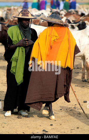 Mali, Mopti Region, Sofara, Transhumanz Herde der Peulh Menschen überqueren des Flusses Bani Stockfoto