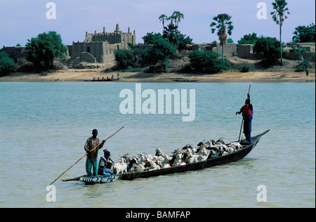 Mali, Mopti Region, Sofara, Transhumanz Herde der Peulh Menschen überqueren des Flusses Bani Stockfoto