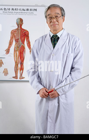 Arzt steht man vor einem menschlichen Muskel-Diagramm Stockfoto