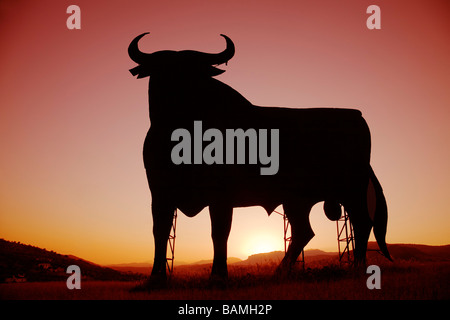 Osborne-Stier bei Sonnenuntergang in Casabermeja Malaga Andalusien Spanien Stockfoto