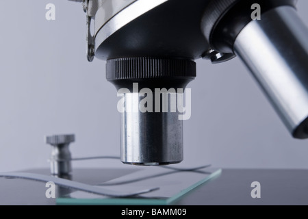 Seite Detail eines Mikroskops mit 2 Objektiven und Objektträger Stockfoto