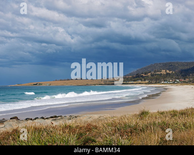 BEAUMARIS STRAND SCAMANDER CONSERVATION AREA TASMANIEN AUSTRALIEN Stockfoto