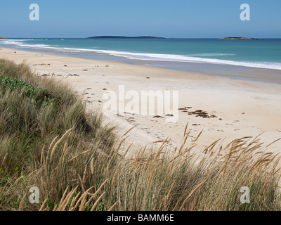 BEAUMARIS STRAND SCAMANDER CONSERVATION AREA TASMANIEN AUSTRALIEN Stockfoto